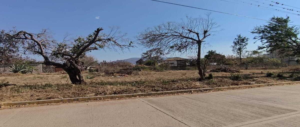 Foto de terreno habitacional en venta en calle el pocitocabecera municipal san andres huayapam san andrés huayápam,  oax. , estado oaxaca, oaxaca de juárez, oaxaca, 29424047 No. 05